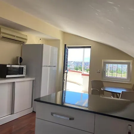 Natalia Homes * シダ