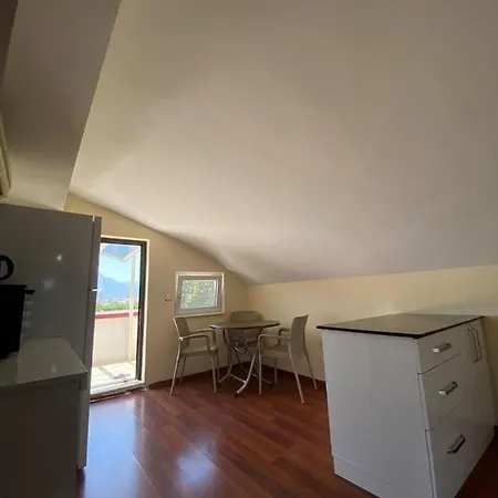 Natalia Homes シダ